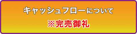 キャシュフローの購入はこちら