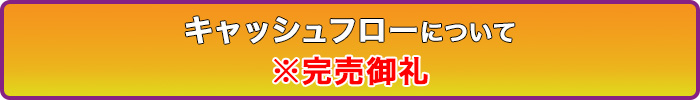 キャシュフローの購入はこちら